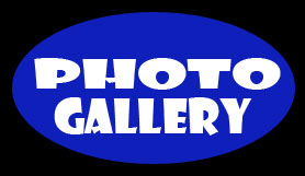 Home Page Link